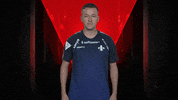 Celebration Reaction GIF by Bundesliga