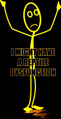 ACReptileRescue giphygifmaker dysfunction acrr GIF