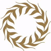 Belgianbeer GIF by Loka Brew Works