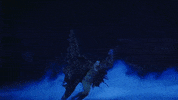 Swanlake GIF by English National Ballet