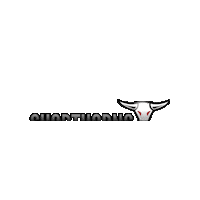 Herzobasket basketball longhorns herzogenaurach shorthorns Sticker