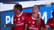 Sl Benfica Slbgif GIF by Sport Lisboa e Benfica
