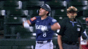 Celebrate Home Run GIF by MLB
