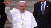 Pope Francis GIF