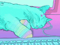Cats Nap GIF by PHAZED