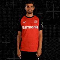 Bayer 04 Win GIF by Bayer 04 Leverkusen