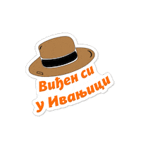 nusicijadaivanjica nusicijada ivanjica vidjen si u ivanjici Sticker