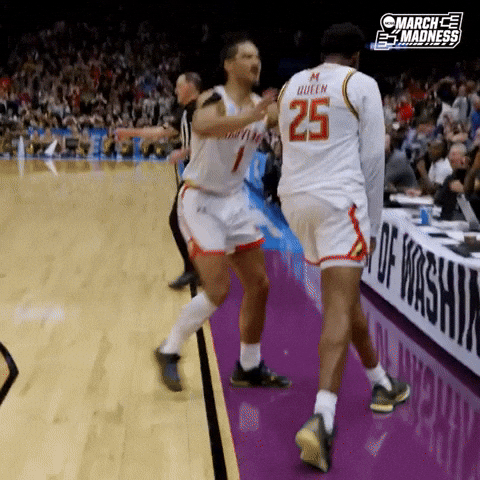 College Basketball Win GIF by NCAA March Madness