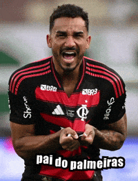 theflash_951 pai do palmeiras danilo flamengo x palmeiras GIF
