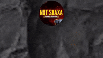 NOTshaxa notshaxa not shaxa shaxa sila not shaxa sila GIF