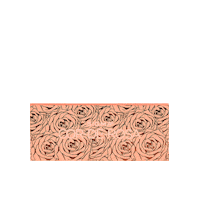 Cor-De-Rosa Makeup Sticker by sigmabeauty