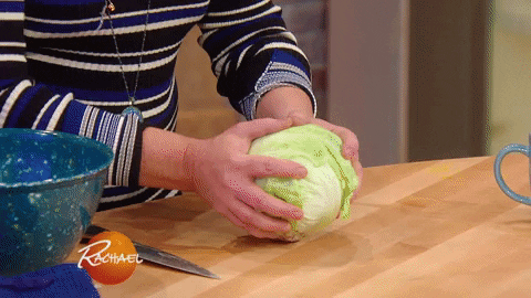 rachaelrayshow giphyupload funny food gif GIF