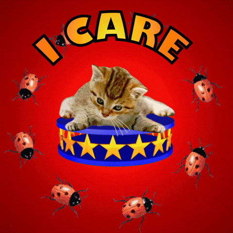I Love You GIF