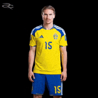Fifa World Cup Uefa GIF by Respective