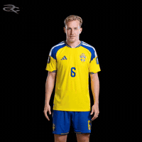 Fifa World Cup Uefa GIF by Respective