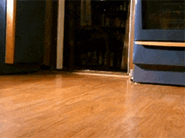 puppies corgis GIF by Cheezburger