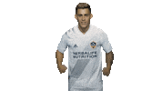 Los Angeles Football Sticker by LA Galaxy