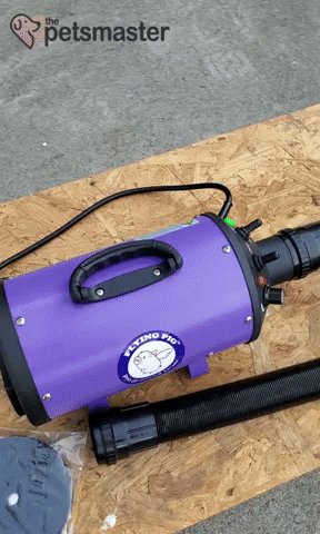 bridgeatslides giphyupload GIF