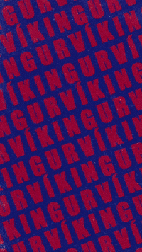 Eurovikes GIF by Víkingur Reykjavík