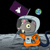 Space Floating GIF by Web3 Playboys