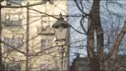 Helsinki Golden Closet Film GIF by BTS