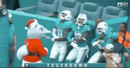 Regular Season Football GIF by NFL