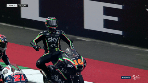 Winner Punch The Air GIF by MotoGP