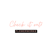 Flower Check It Out Sticker by Devika Sharma