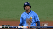 Lets Go Sport GIF by MLB
