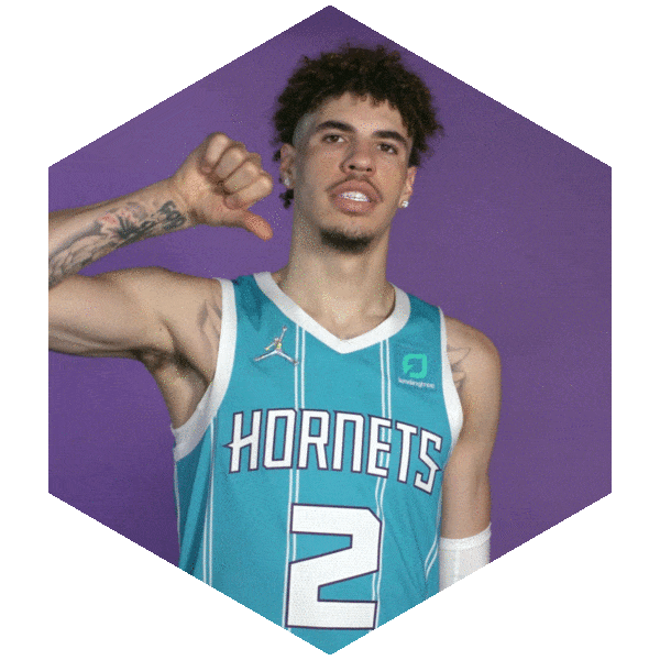Lamelo Ball Thumbs Down Sticker by Charlotte Hornets