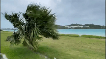 Tropical Storm Alex Batters Bermuda