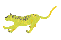 deloreta jungle parrot dolphin puma Sticker