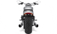trydeal harley harley davidson v-rod GIF