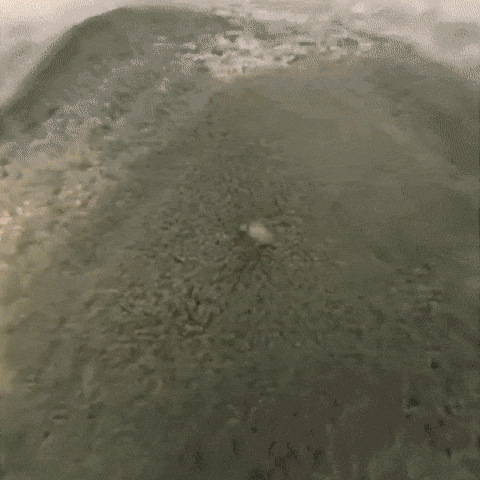 mattvalerio  GIF