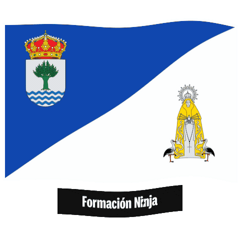 Comunidad De Madrid Bandera Sticker by Formación Ninja