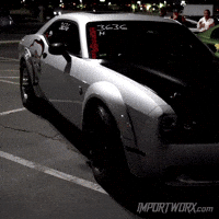 Cat Eye GIF by ImportWorx