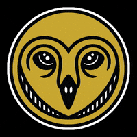 Canvasdesigncompany logo design skull owl GIF