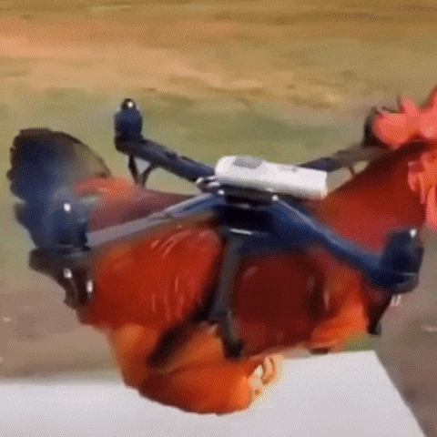 Farm Life Ai GIF by Respective