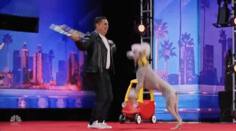 nbc GIF by America's Got Talent
