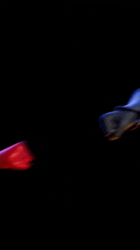 Cat Noir Yes GIF by Studiocanal Germany