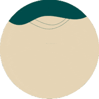 Direcionalwaveboaviagem Sticker by direcionalvendas