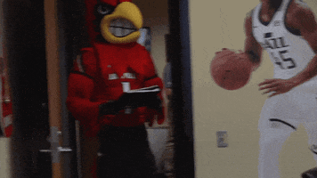 University Of Louisville Reaction GIF by Louisville Cardinals