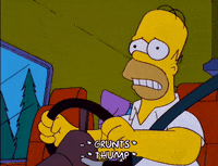 homer simpson GIF