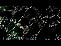 killswitchengage bass engage mike d killswitch engage GIF