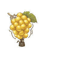 White Wine Sticker by Oliver Winery