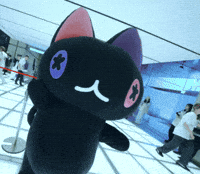 Black Cat Hello GIF