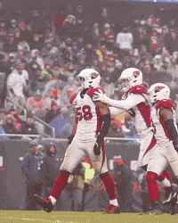 Celebrate Jordan Hicks GIF by Arizona Cardinals