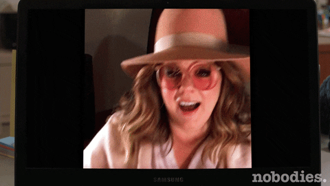 tv land video chat GIF by nobodies.