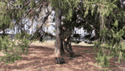 Tired Sleep GIF by Fourwind Films