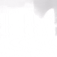 Cat GIF